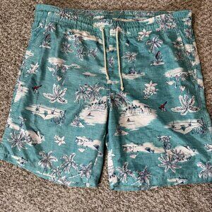Old Navy Swim Trunks Mens Small Blue Tropical Island Print Board Shorts Summer